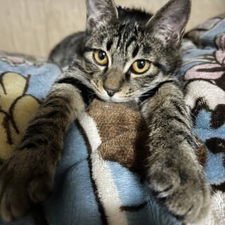 甘えん坊の兄妹！兄！