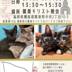 ねこの家族さがしin篠栗キリスト協会