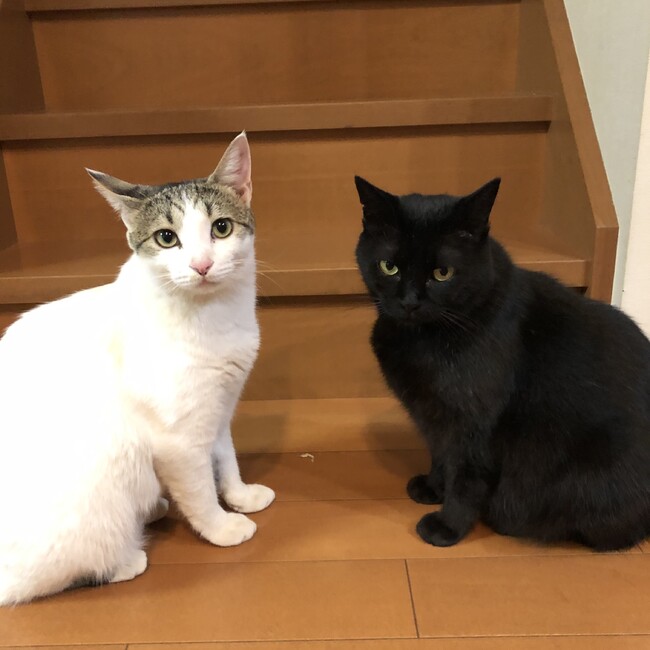 うらしたのカバー写真