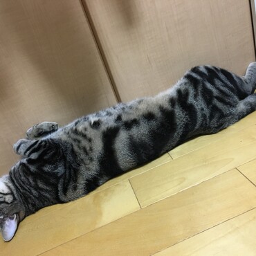 かいちゃん！と、呼んだらこの顔。めんどくさそうだけど、お返事ありがとう♡