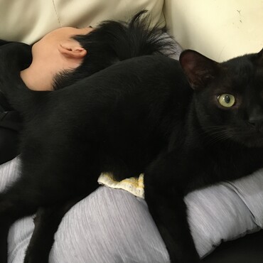 お昼寝中の息子の顔にお尻を向けたら、不快そうにあっち向いた。笑