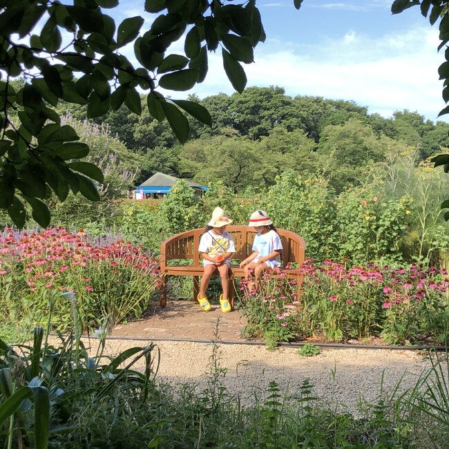 メイチイママのカバー写真