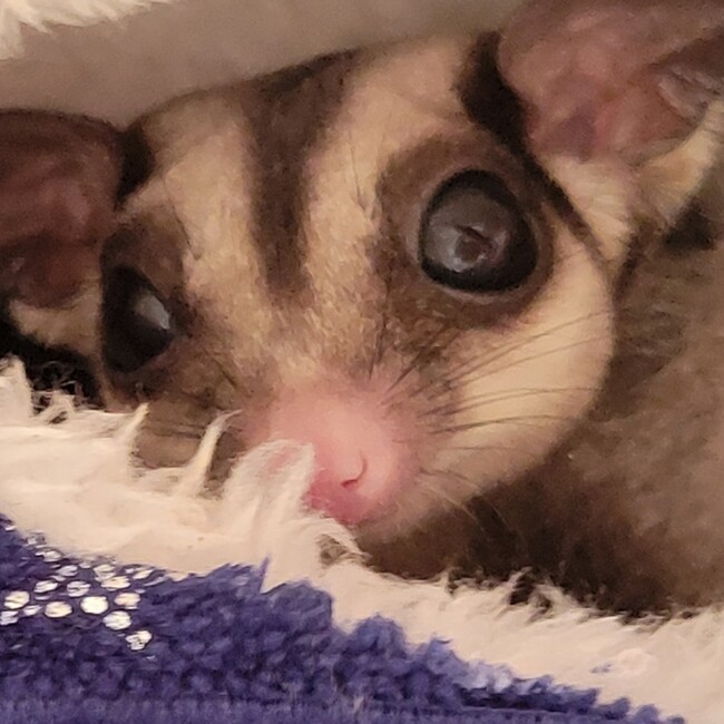 きららラブのカバー写真