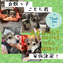 「倉敷っ子こもじ君、ついに家族決定！」サムネイル2