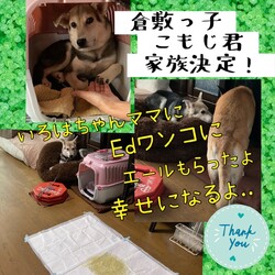 「倉敷っ子こもじ君、ついに家族決定！」サムネイル3