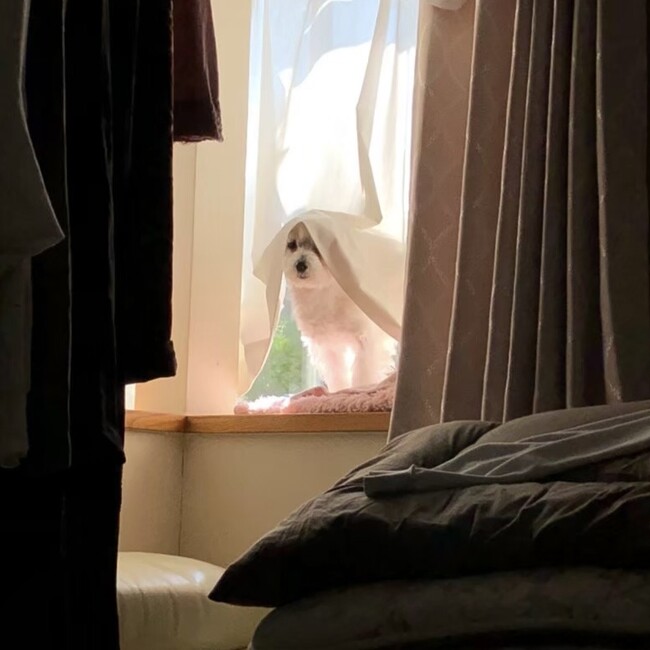 きよちゃろーのカバー写真