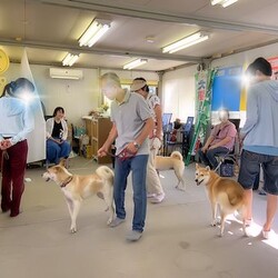 総社市ＡＷＡしつけ教室　＜雨天中止＞ サムネイル2