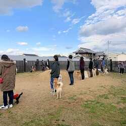 総社市ＡＷＡしつけ教室　＜雨天中止＞ サムネイル3