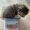 職場近くで保護してから来月で1年…