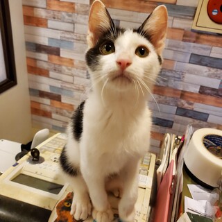 オシャレ前髪で甘えん坊なごお君♂️