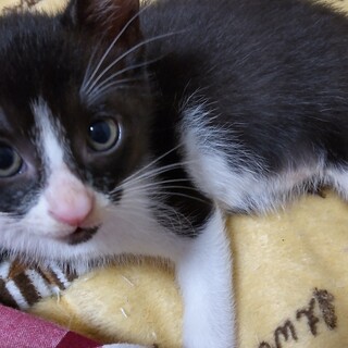 5/26産まれの男の子