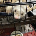 皆様たくさんのメッセージありがとうございました！！