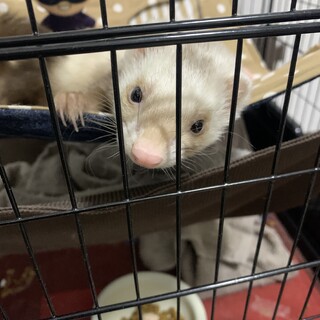 皆様たくさんのメッセージありがとうございました！！