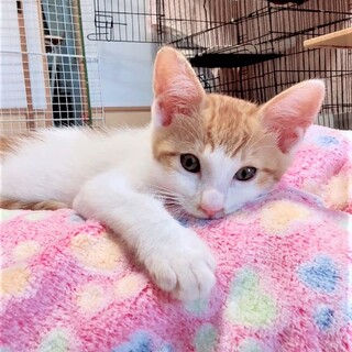 甘えん坊のはづきくん❣❣