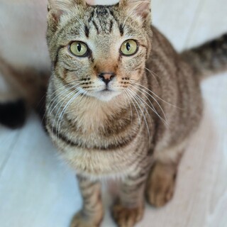 フレンドリーで愛情深いなレオくん！