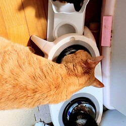 「二月経ちました」サムネイル3