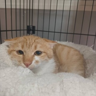 玩具遊びが大好きで、運動神経バツグンです!