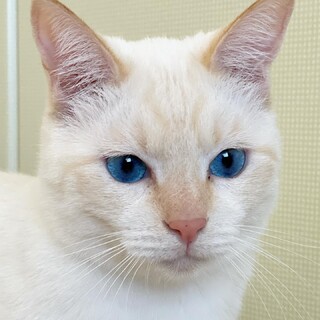 ＊終了しました