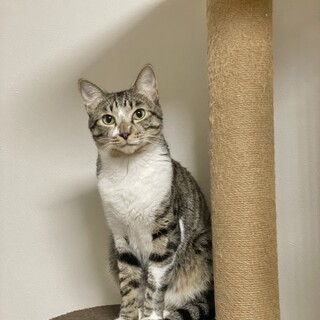 一歳半の男の子