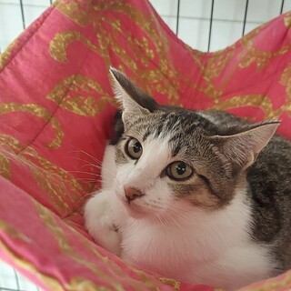 ぶどう園より保護！美形の兄弟