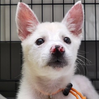 推定3ヶ月のナユコ