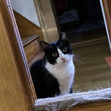 あたちはみんなが寝てる部屋には入ったら怒られるの(´･_･`)