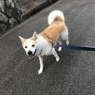 の写真