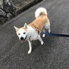 の写真