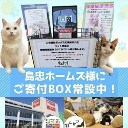 保護猫譲渡会in島忠ホームズ川越 サムネイル2