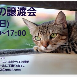 9/4 本気の譲渡会
