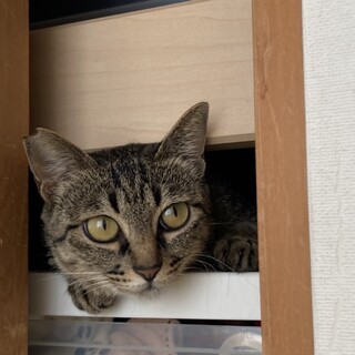 市晴ちゃんに自分のための幸せを掴んで欲しい。