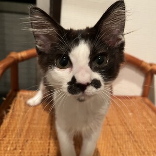 とっても頑張りやなセンジュちゃんです❗️