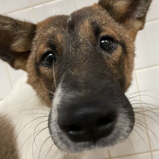 期限あと、数日です！