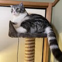 サスケです！宜しくお願いします❣️