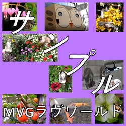 チグショップオープン サムネイル3