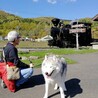 クサカワロルフ