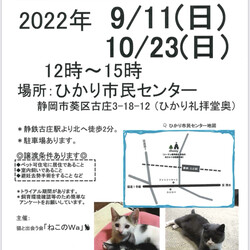 ねこのWa猫譲渡会