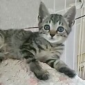 家族が決まりました☺︎