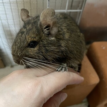 まだまだ元気！