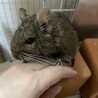 まだまだ元気！
