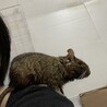 肩乗り♪