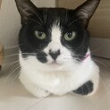 人見知りなたまおちゃん。