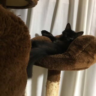 ご飯のおねだりが上手