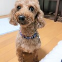 ミュゼ