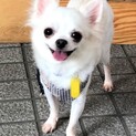 風鈴