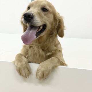 3歳の女の子です