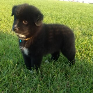 人懐っこいティムくん！