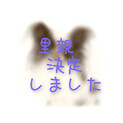 新しい飼い主さんを募集します