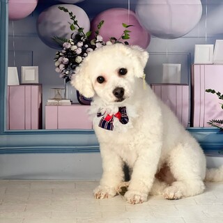 はなかわど）陽気で愉快なキャピキャピgirl❤