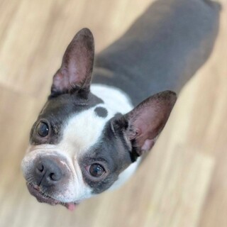 こじま）末っ子気質のかまってちゃん